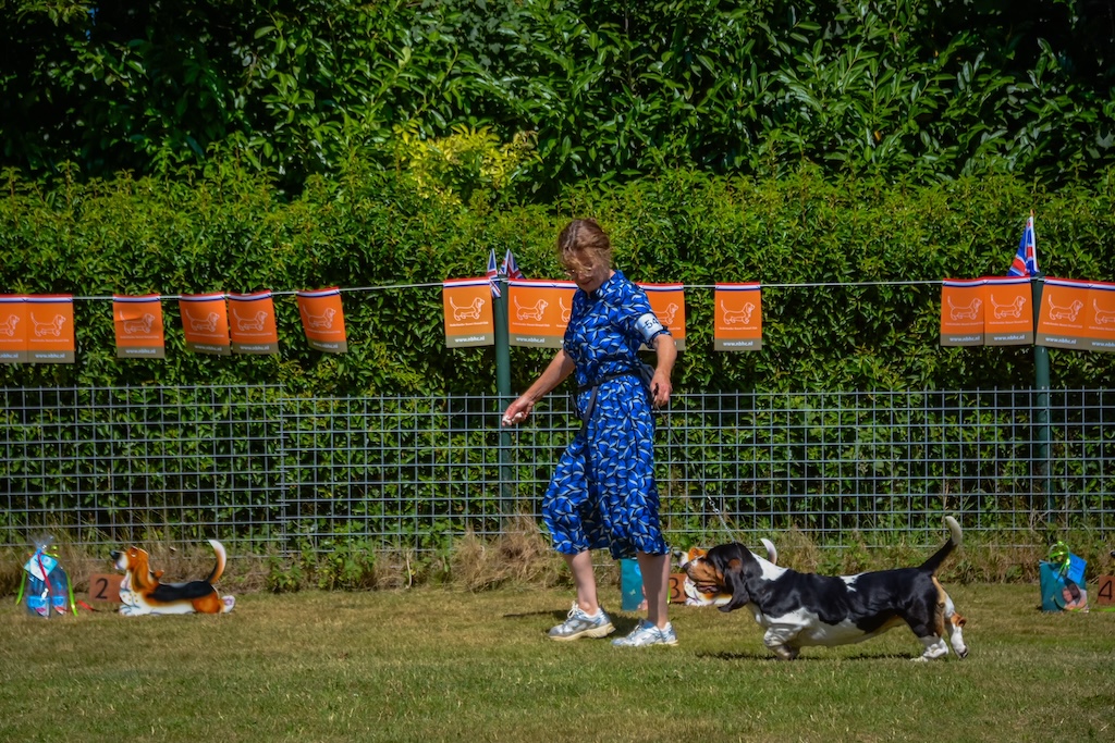 Pip walking